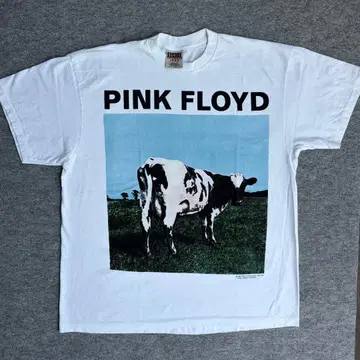 Pink Floyd/핑크 플로이드/밴딩 티셔츠