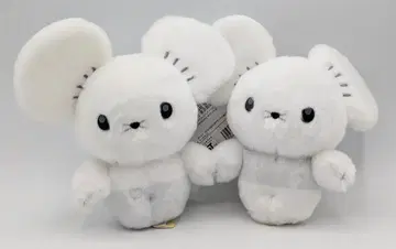 포켓몬 너로 정했다! 포켓몬 겟 봉제 인형 와카네즈미