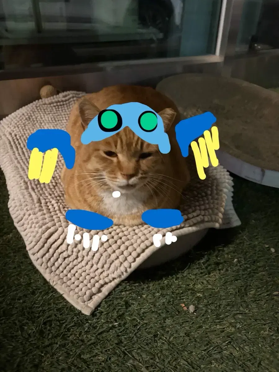 오지환 신민재 카드 결제창