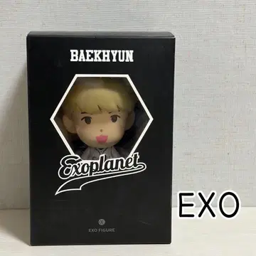 EXO BAEKHYUN Exoplanet 피규어