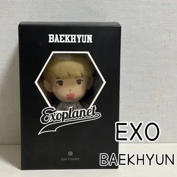 EXO BAEKHYUN Exoplanet 피규어