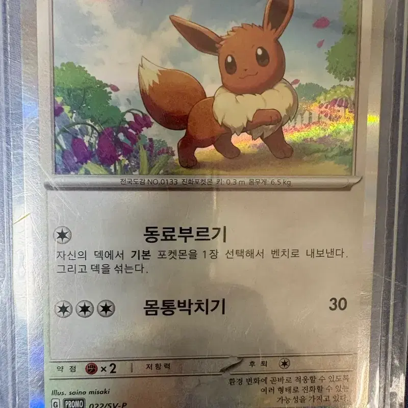 이브이프로모카드