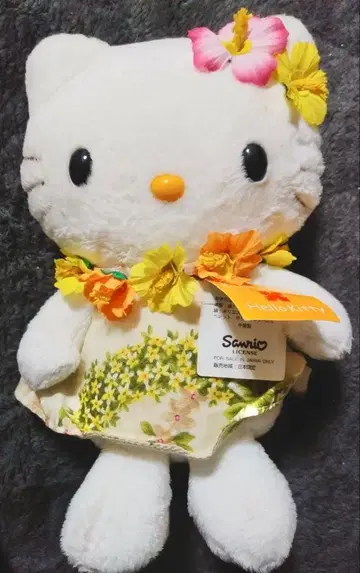 kathy mam x HELLO KITTY 봉제 인형 레어 하와이