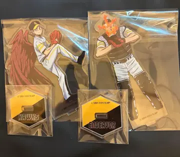 Hawks Endeavor 히로아카 호크스 엔데버