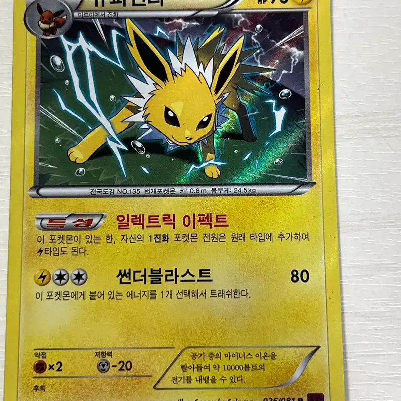 포켓몬 카드 쥬피썬더 XY 홀로 Rare