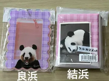 어드벤처 월드 팬더 료우힌 유이힌 폴라로이드 프레임 스티커 세트