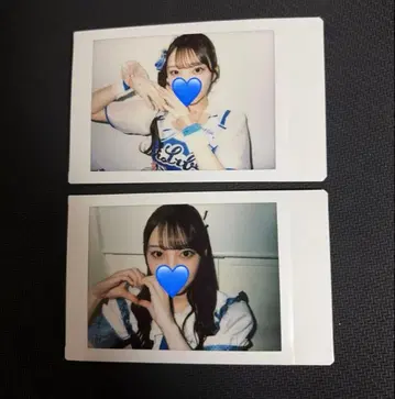 카세 마이 란체키 치어 의상 투어 의상 아이라이프 폴라로이드