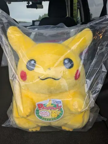 돌아와 피카츄 봉제 인형 약 30cm 택 포함 새상품 미사용 미개봉