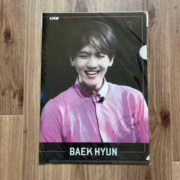EXO BAEKHYUN 클리어 파일