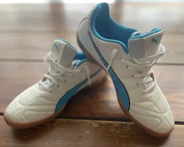 Puma 풋살화 화이트/블루