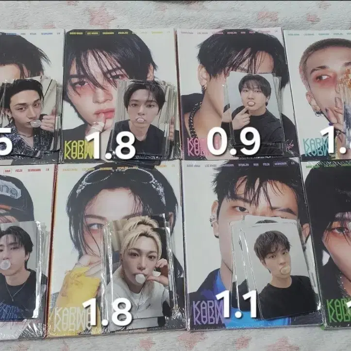 Stray Kids 5-STAR Seoul Special Photocard Case Set Sealed New