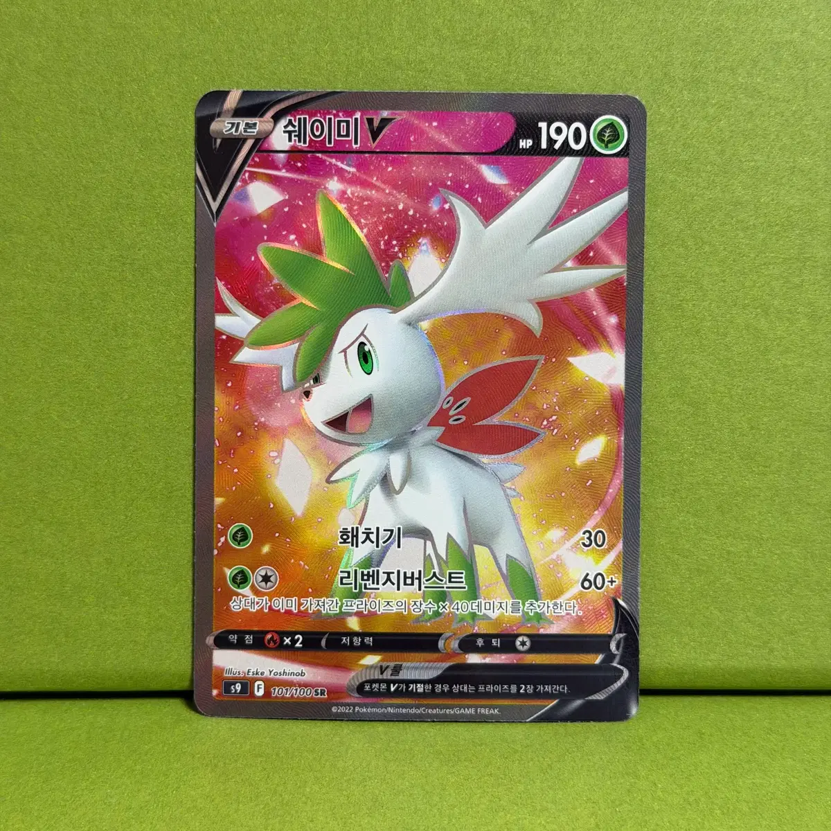 pokemon cards near me nearby Shaymin (Grass) <011/092> [DP6] – 晴れる屋2