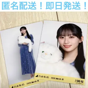 카와사키 사쿠라 세미 컴프 요리 히키 엘레강트 노기자카46 브로마이드