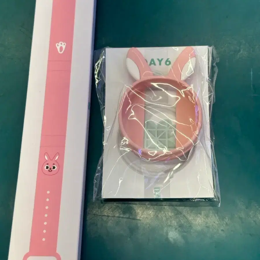 DAY6 Light Band VER3 & Custom Cover (MY DAY 4TH) | Bunjang Global