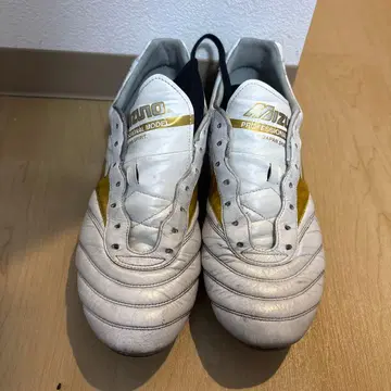 Mizuno Professional Model 축구화