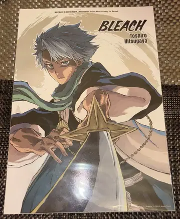 히즈카야 토시로 한국 한정판 메탈릭 포스터 BLEACH