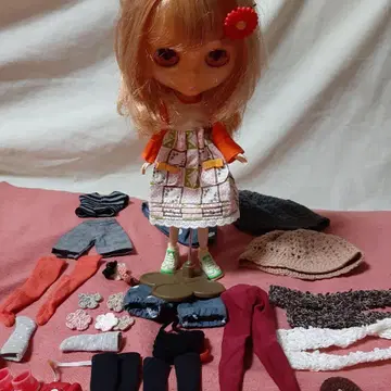 쇼와 레트로 카시오페아 스파이스 브라이스 커스텀 부품 포함