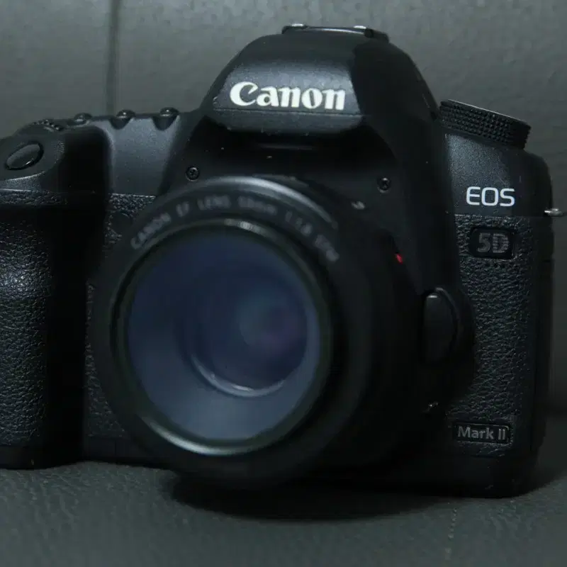 캐논 5D Mark 2 + EF 50mm F1.8 STM 신쩜팔