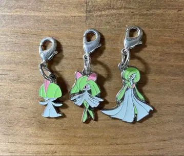 포켓몬 전국 도감 메탈 참 랄토스 킬리아 가디안