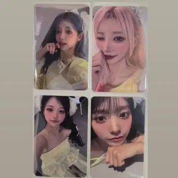 QWER 사전 녹화 포토카드 세트