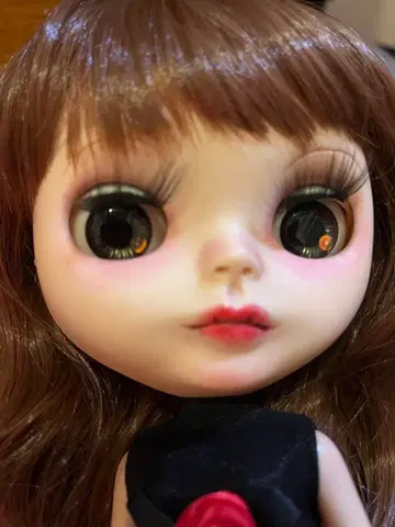 네오 브라이스 커스텀 완료
