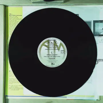 Carpenters Golden Prize, Vol. 2 일본 1974년 | 브랜드 중고거래