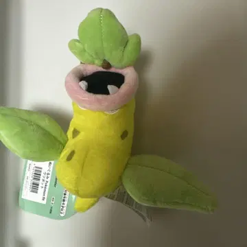 봉제 인형 포켓몬 fit 우츠보트