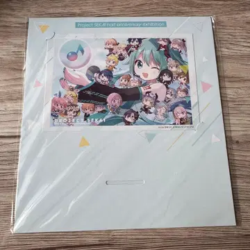 프로세카 하프 애니버서리 전시회 엽서 우사키 우소