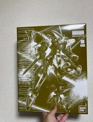 MG 1/100 백식 개