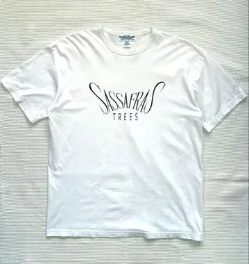 SASSAFRAS 사사프라스 SASSAFRAS TREE T 1/2