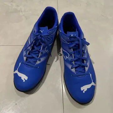 Puma 축구화 블루 11.5 US 29.5cm