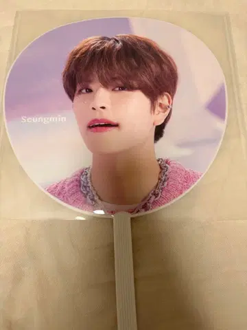 Stray Kids 승민 5STAR