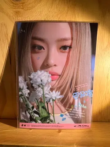 newjeans 책받침 한국 팝업 하니 미개봉
