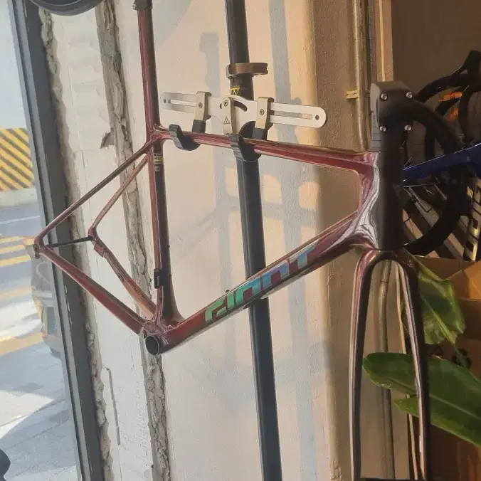 25 tcr sl 프레임셋 m사이즈