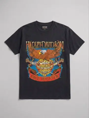 HARLEYDAVIDSON TRUE BELIVER 선 페이드