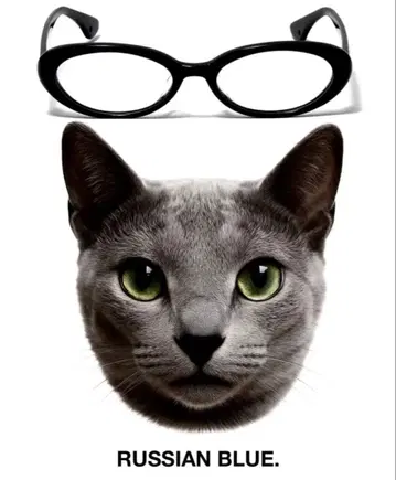 THE BLACK CAT RUSSIAN BLUE GLASSES