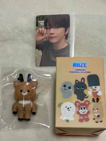 RIIZE 성찬 트레이딩 카드 포함