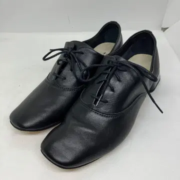 새상품급 Repetto 레페토 Mark Oxford Shoes 양가죽