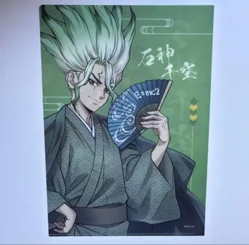 [ 익명 배송 ] Dr.STONE 닥터스톤 이시가미 센쿠 클리어 파일