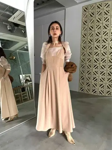 AMERI CLIONE SLEEVE DRESS