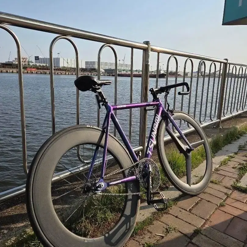 Tsunami SNM100 Chameleon Complete | Bunjang Global