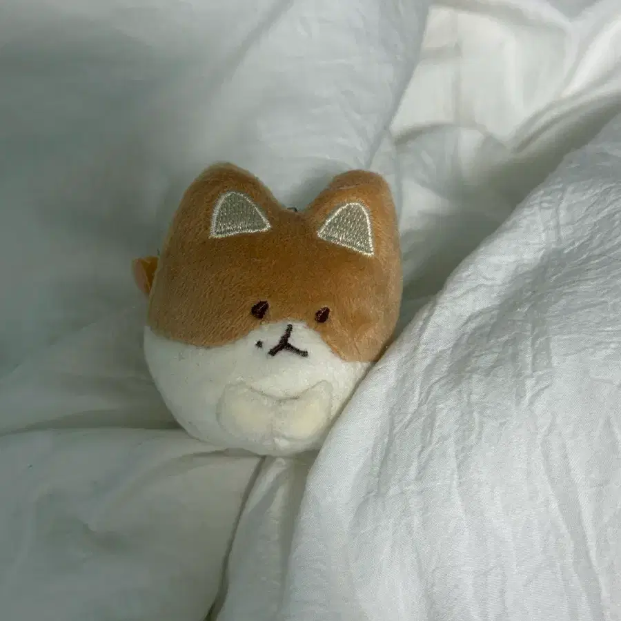 Baekhyun Giant Teolaegi Doll 80cm wts | Bunjang Global