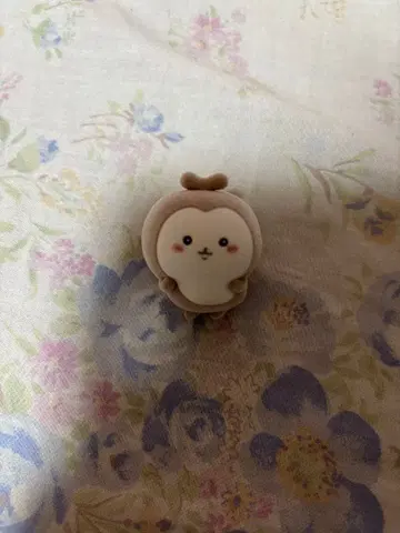 치이카와 (먼작귀) 장수풍뎅이