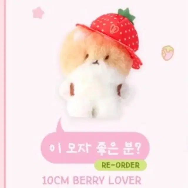 터랴기 양도