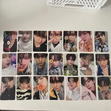한유진 특전 트레이딩 카드 봉입 트레이딩 카드 묶음 판매
