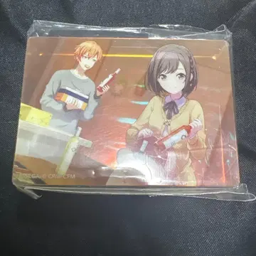 프로세카 노블 아트 vol.7 시노노메 에나 시노노메 아키토