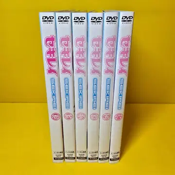 세키레이 DVD 전 6권 세트