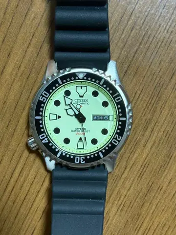 CITIZEN 프로마스터 NY0040-09W 복어