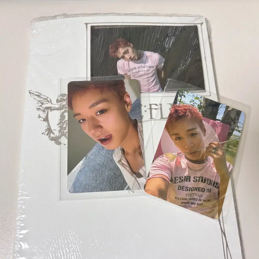 Park Jihoon Reflect beatroad album wts (pochacco ver) | Bunjang Global