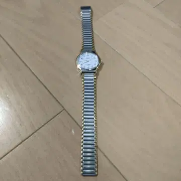 ORIENT 오리엔트 Swimmer 100 스위머 100m 방수 손목시계